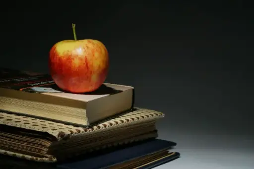 Individuelle Bildungsberatung – Welche Weiterbildung passt zu Dir?